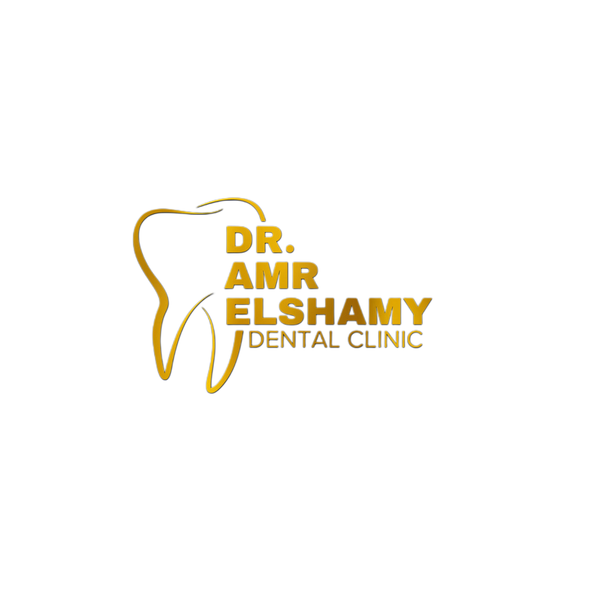 Dr Amr Elshamy